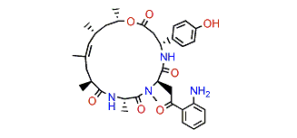 Jaspamide O